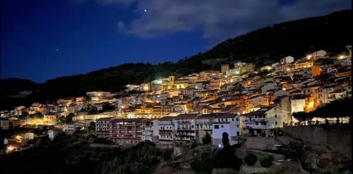 El Burrito De Gredos