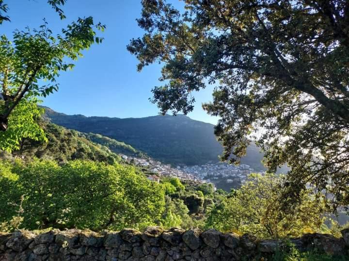El Burrito De Gredos Pedro Bernardo